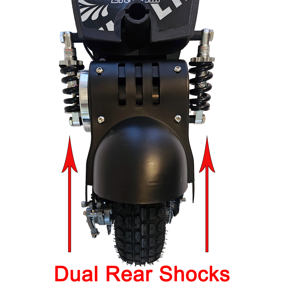 Dual rear shocks